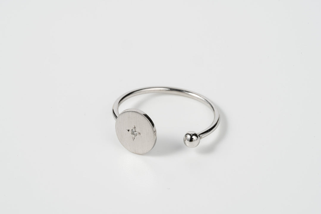 Coin - PT900 コインダイヤリング鏡面ポリッシュ - 