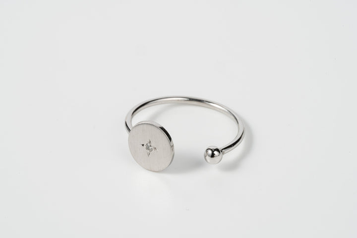 Coin - PT900 コインダイヤリング鏡面ポリッシュ - 