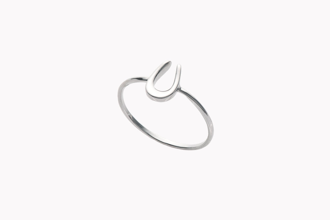 Horseshoe - PT900 ホースシューペンダント鏡面ポリッシュ - 